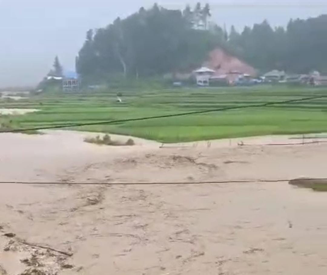 Banjir Di Mamasa Ratusan Hektar Sawah Terendam Dan Satu Jembatan Putus